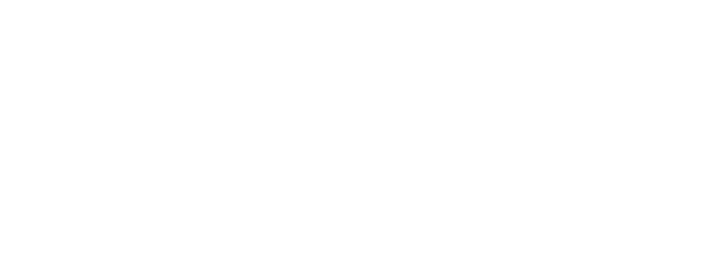 Thuiszorg Inzet